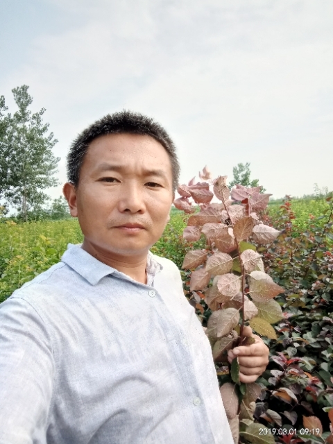 孩子爸的第一张照片--武夷山交友网