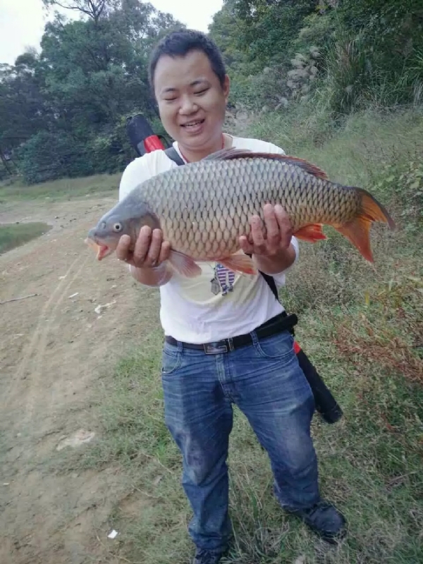 迷路的男人的第一张照片--武夷山交友网