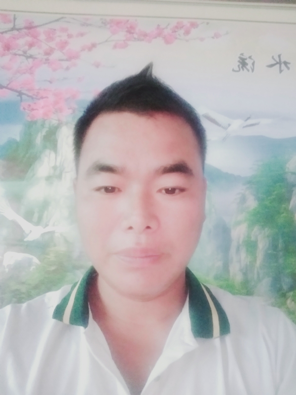阳光男孩的第二张照片--武夷山交友网